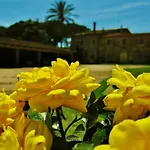 La Valentina Nuova *
