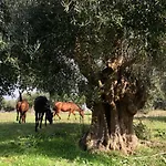 La Valentina Nuova *