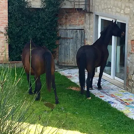 La Valentina Nuova Alojamento de Turismo Rural *