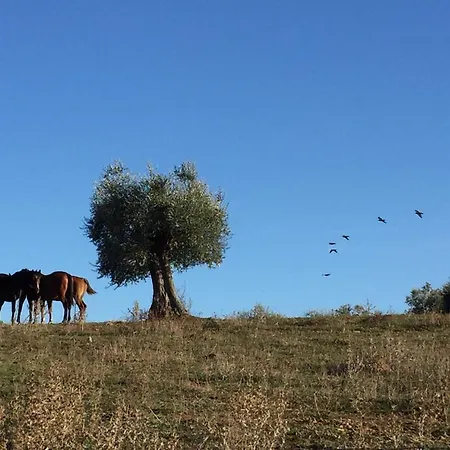 La Valentina Nuova * Talamone
