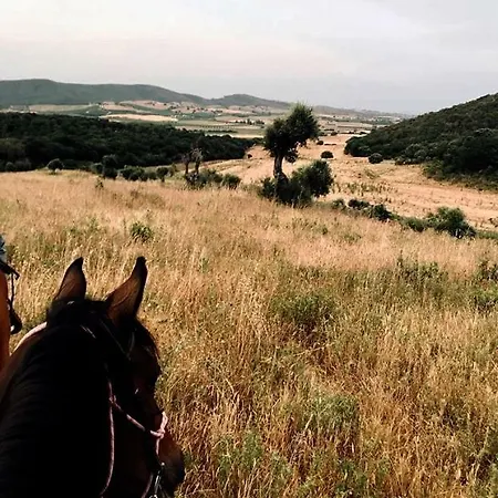 La Valentina Nuova *