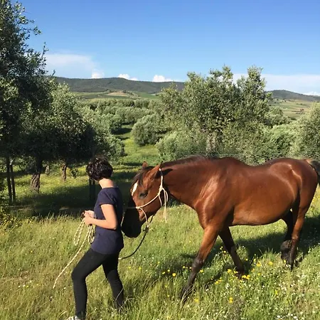 La Valentina Nuova Alojamento de Turismo Rural Talamone