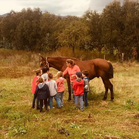 La Valentina Nuova Alojamento de Turismo Rural
